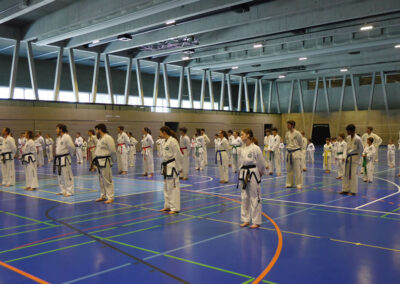 Hwang Suil Seminar Nov 2024